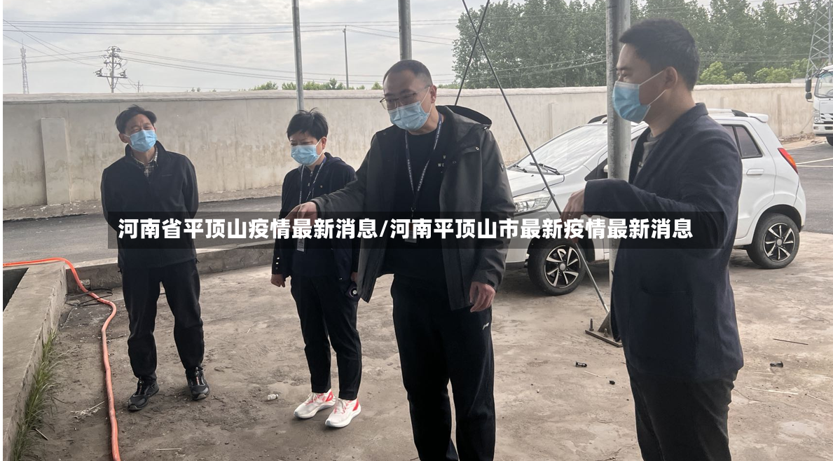 河南省平顶山疫情最新消息/河南平顶山市最新疫情最新消息-第2张图片