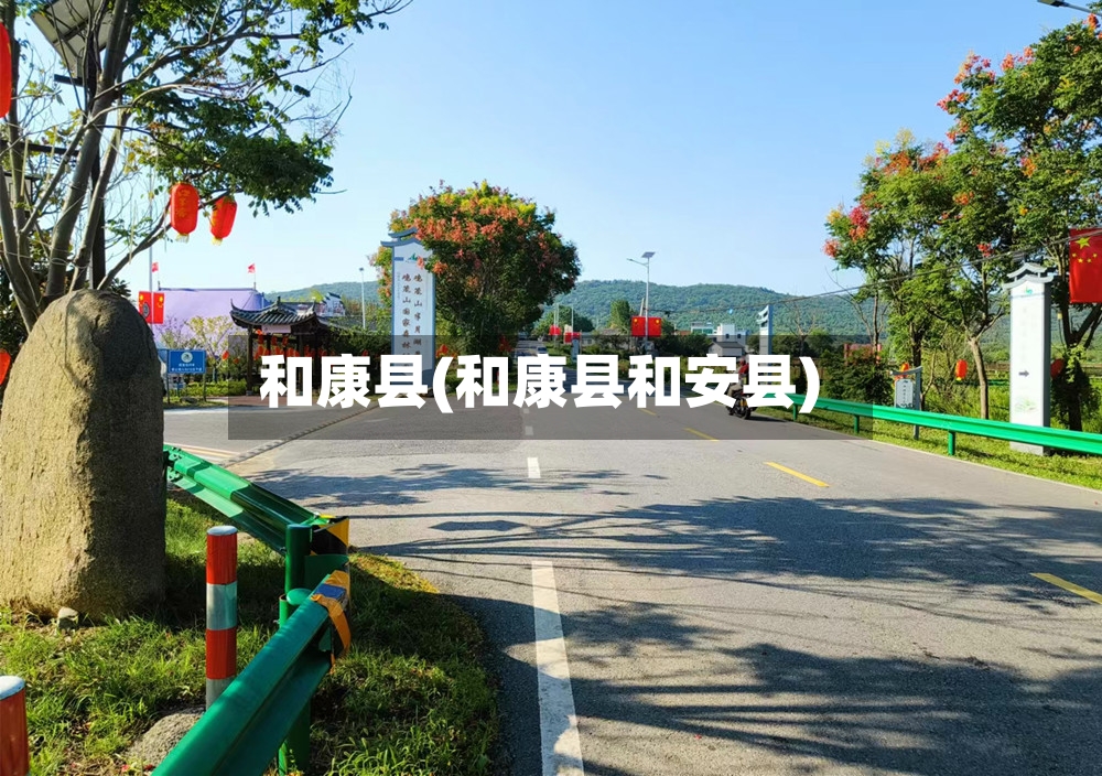 和康县(和康县和安县)