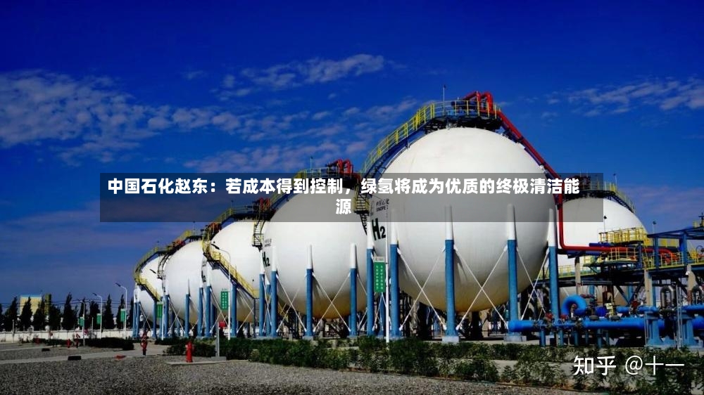 中国石化赵东：若成本得到控制，绿氢将成为优质的终极清洁能源-第2张图片