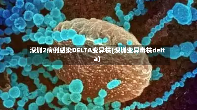 深圳2病例感染DELTA变异株(深圳变异毒株delta)-第1张图片