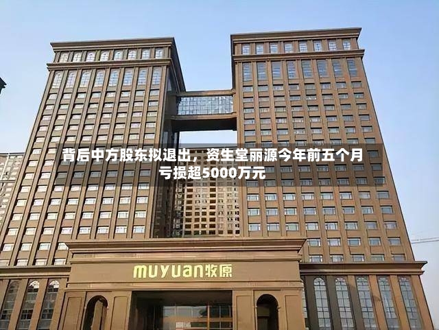 背后中方股东拟退出，资生堂丽源今年前五个月亏损超5000万元-第2张图片