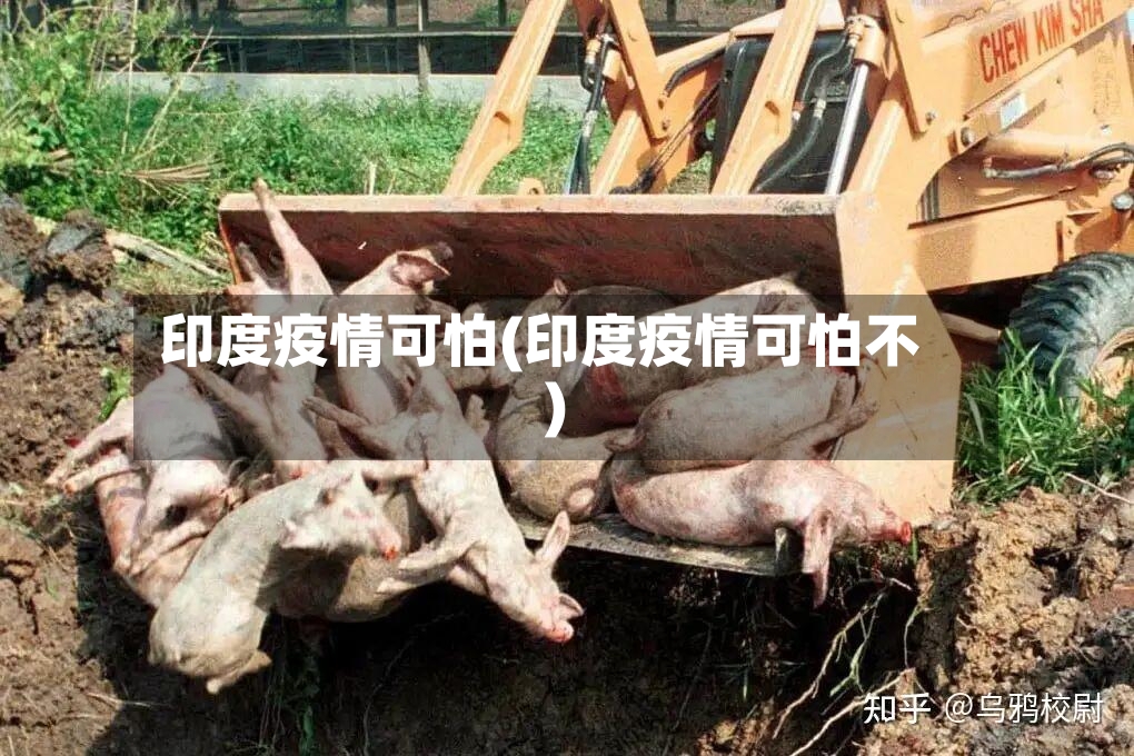 印度疫情可怕(印度疫情可怕不)