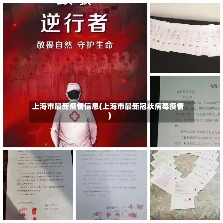 上海市最新疫情信息(上海市最新冠状病毒疫情)-第2张图片
