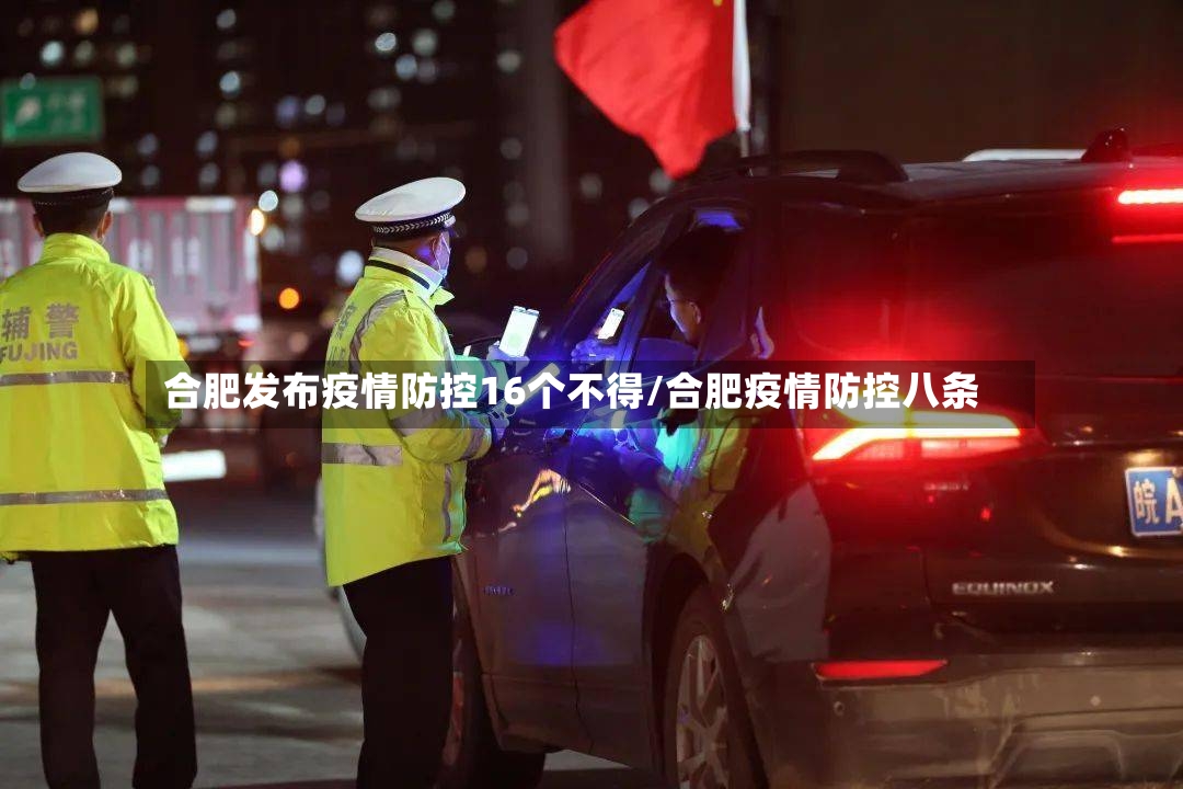 合肥发布疫情防控16个不得/合肥疫情防控八条-第2张图片