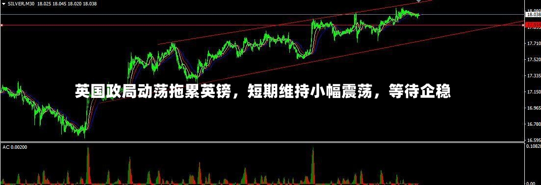 英国政局动荡拖累英镑，短期维持小幅震荡，等待企稳
