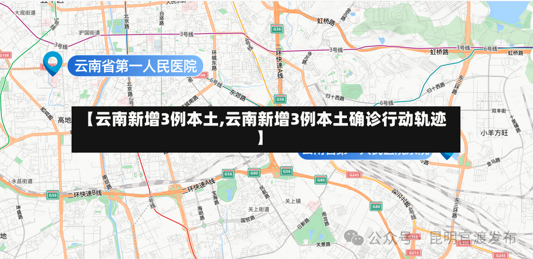 【云南新增3例本土,云南新增3例本土确诊行动轨迹】