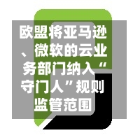 欧盟将亚马逊	、微软的云业务部门纳入“守门人”规则监管范围-第2张图片