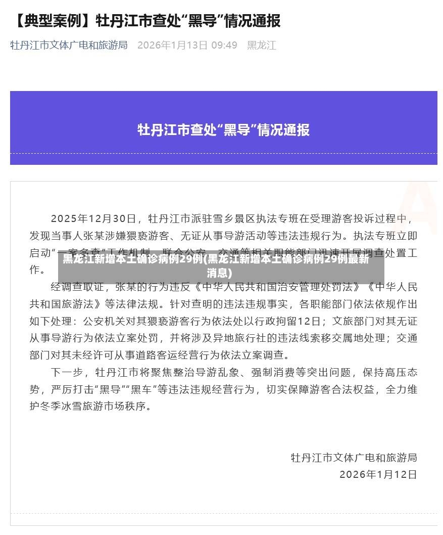 黑龙江新增本土确诊病例29例(黑龙江新增本土确诊病例29例最新消息)-第2张图片