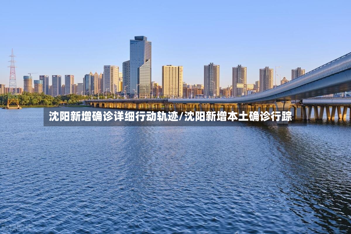 沈阳新增确诊详细行动轨迹/沈阳新增本土确诊行踪-第2张图片