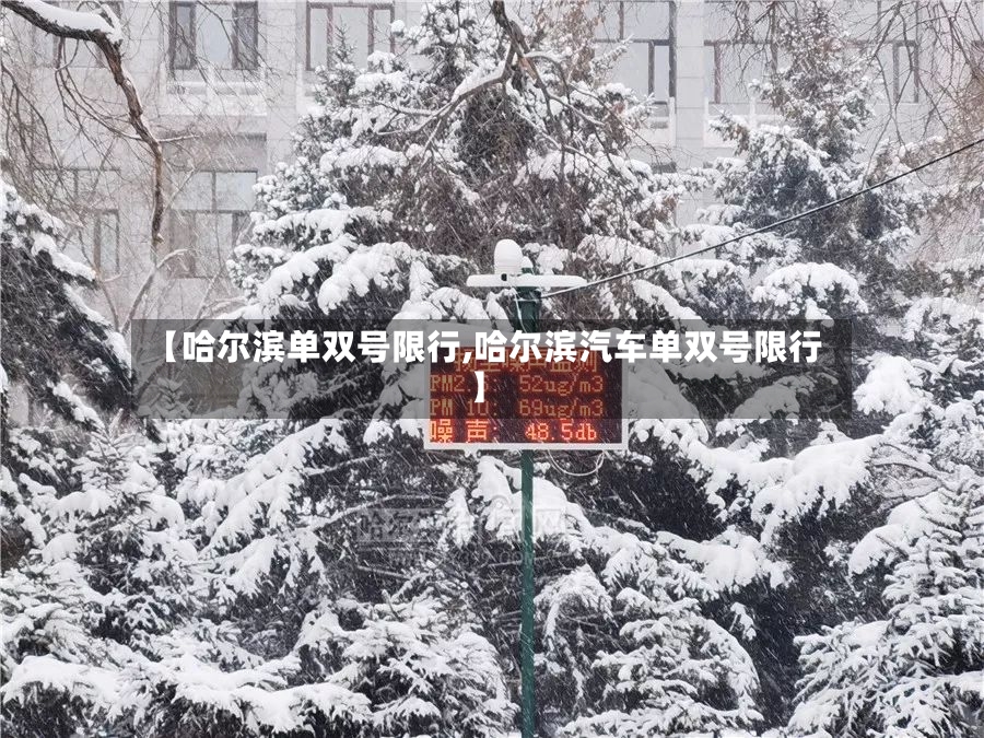 【哈尔滨单双号限行,哈尔滨汽车单双号限行】