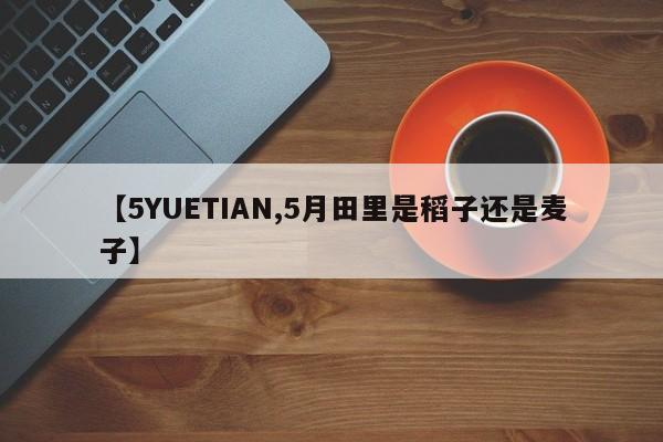 【5YUETIAN,5月田里是稻子还是麦子】