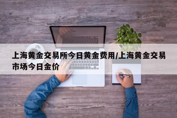 上海黄金交易所今日黄金费用/上海黄金交易市场今日金价