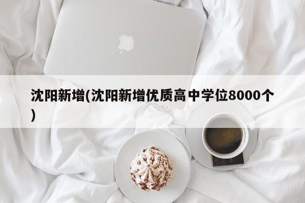 沈阳新增(沈阳新增优质高中学位8000个)
