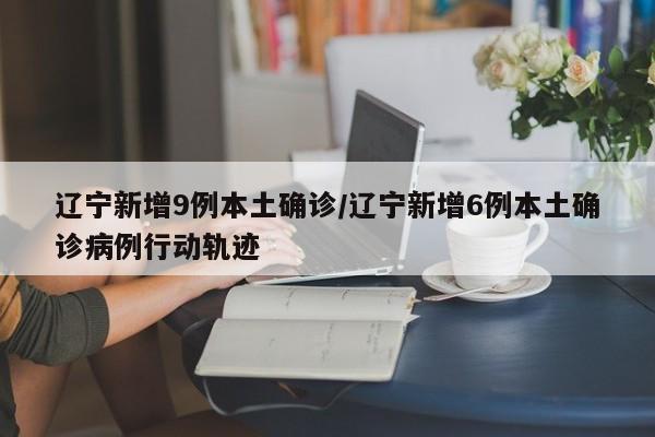辽宁新增9例本土确诊/辽宁新增6例本土确诊病例行动轨迹
