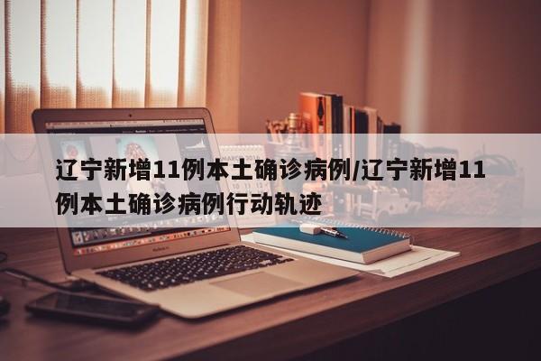 辽宁新增11例本土确诊病例/辽宁新增11例本土确诊病例行动轨迹